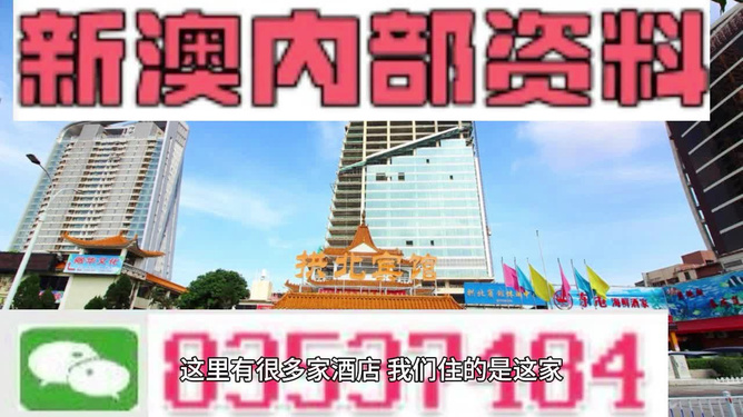 澳門正版精準免費大全，揭示背后的真相與警示