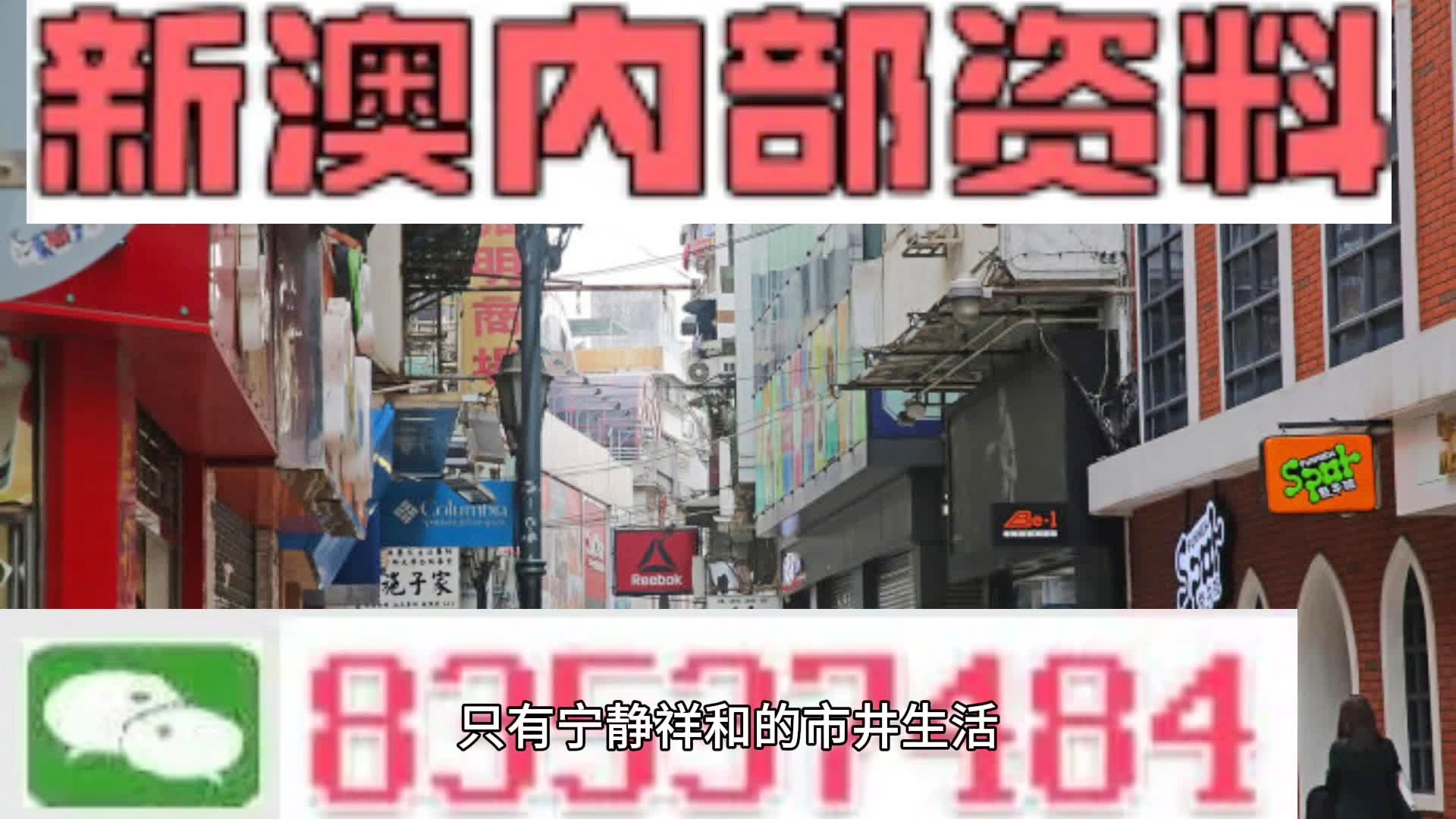 新奧門正版資料免費(fèi)長(zhǎng)期公開(kāi),新澳門正版資料免費(fèi)長(zhǎng)期公開(kāi)，探索與理解