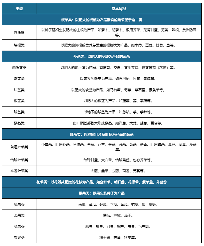澳門管家婆資料大全正，深度解析與探索